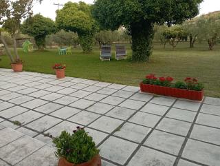 Olive mare Holidays - Nea Iraklia - 3