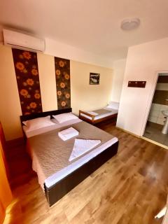 Casa Tudor Costinesti - 8