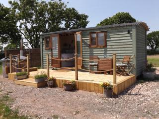 Tawny - Crediton - 9