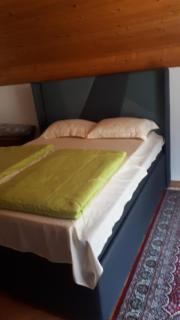 Villa "Bosnia" - Sarajevo - 4