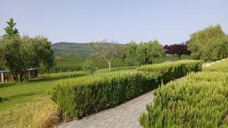 L'Orto sul Poggio - Sutri - 8