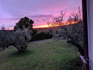 L'Orto sul Poggio - Sutri - 9