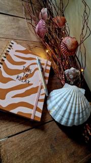 studio RELAX - Middelkerke - 5