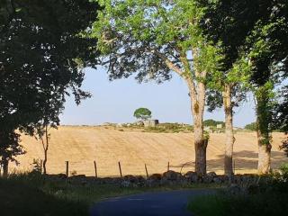 Appartement 6 pers sur l'Aubrac - - 5
