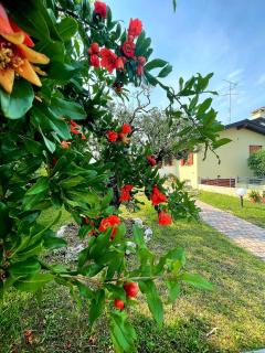 VILLA AMA - Pordenone - 7
