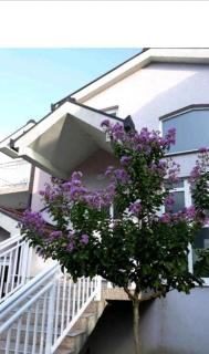 Villa Predlug - Čapljina - 7