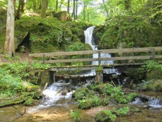 Kandelbleibe - Waldkirch - 2