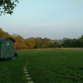 Skylark Shepherds Hut - Royal Tunbridge Wells - 7