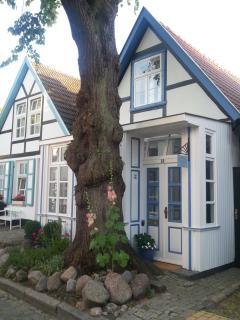 Haus Alexandrine - Warnemünde - 0
