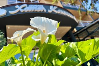 Family Hotel Kontesa - Lozenets - 9