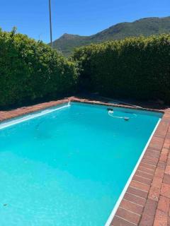 About Africa Guesthouse - Cidade Do Cabo - 2