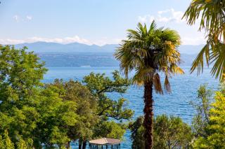 Palm and Palmino Garden Apartments near Lungo Mare by Irundo - 2