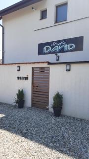 *Studio David* - Sibiu - 0