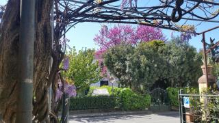 Hotel Stipino - Lucca - 2