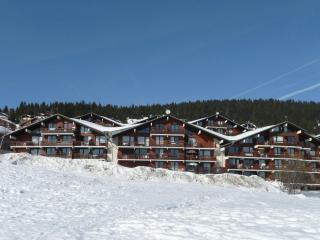 Studio cabine cozy aux Saisies - 4 pers, proche centre et commerces, balcon sud - FR-1-594-215 - Hauteluce - 4