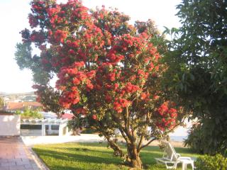 A Casinha - Areia Branca - 6