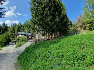 Alm-Ferienhaus Gaisegg am Klippitztörl - Bad Sankt Leonhard im Lavanttal - 5