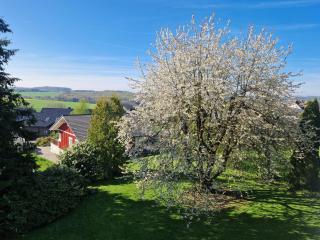 Ferienhaus Löh - Kleinmaischeid - 7