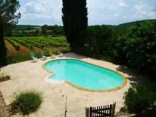 Mas Ribaute - Pour 10 avec piscine privée - Barjac - 0