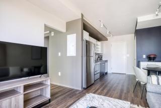 Theatre District 1BR w Gym WD nr Boylston T BOS-628 - Boston - 9