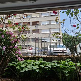 Apartman Maksimirska 89 Zagreb-63m2 - Zagreb - 2