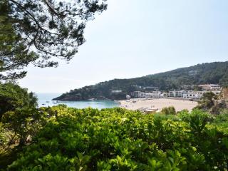 Sa Punta Negra - Begur - 6
