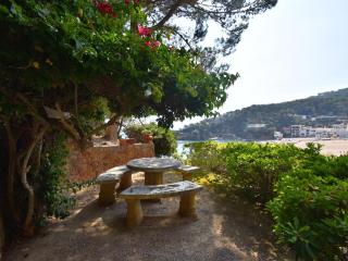 Sa Punta Negra - Begur - 5