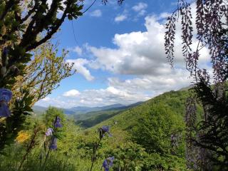 La Grange de l'Ours - Saint-Lary-Soulan - 4