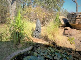 Double Lodge in Natural African Bush - 2112 - 1