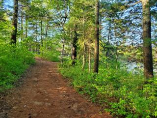 Spring Lake Resort - 3