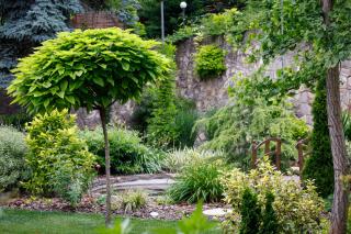 Árnyas Panzió Gödöllő - 9