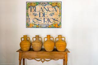 Cortijo El Indiviso - 3