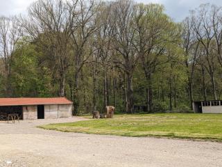 Domaine du Cambos - Boves - 3
