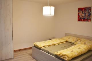 Apartmán Květinový Dům - Hluk - 2