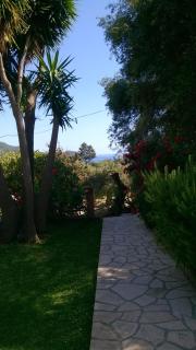 Bozikis Apartments & Studios - Paleokastritsa - 8