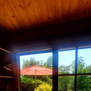 Chalet en pleine nature au bord d'un étang - Lanvallay - 5