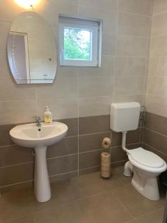 Apartament de inchiriat în localitatea Dănești - Dăneşti - 5