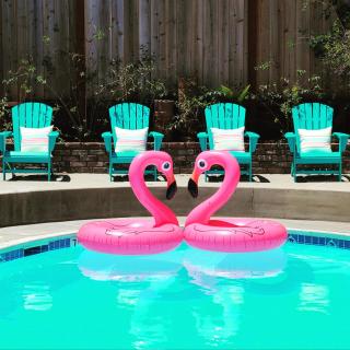 Sunny Cove Motel - Santa Cruz - 8