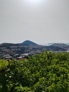 Mediterranean Vista - Dubrovnik - 9