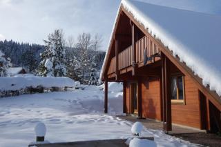 Chalet Les 2 Bouleaux à 2 pas de GERARDMER et des lacs - 0