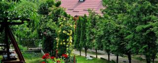 CASA ALEX - Sărata-Monteoru - 5