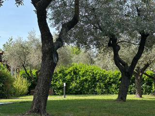 Abitatt - Fosdinovo - 4