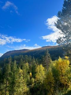 Timber Lodge in Uvdal Skisenter VIEW/WIFI - 5