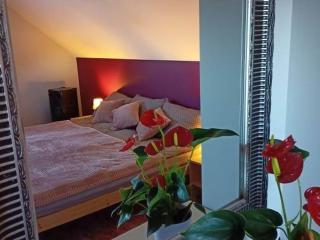 Słowikowy Zakątek - 7