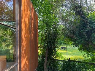 Springfield Lodge - Valongo - 6