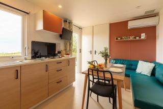 Le Cycas, mobil-home neuf avec sa vue dégagée sur les vignes et la mer - Hyères - 0