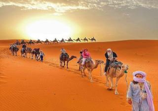 Safari luxury desert camp - Merzouga - 9