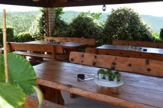 Apartman Fachin - Motovun - 3