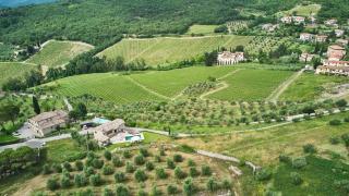 Cielo di Radda - Radda in Chianti - 7