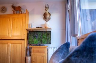 Carla's Residences - Le Rossane - Aillon-le-Jeune - 7